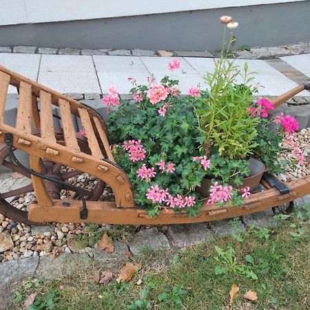 Ferienwohnung Bittner Klitten Eksteriør bilde
