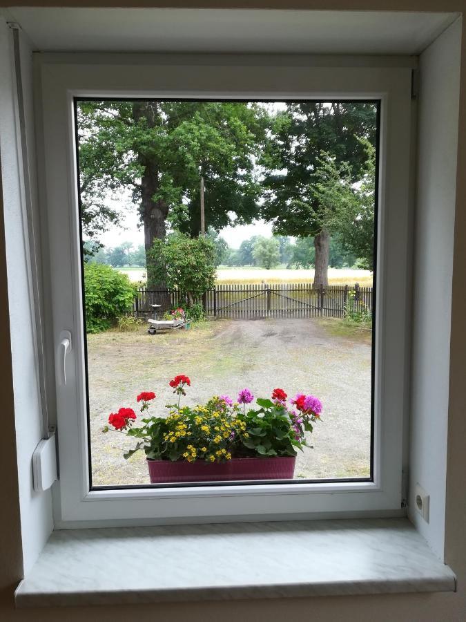 Ferienwohnung Bittner Klitten Eksteriør bilde